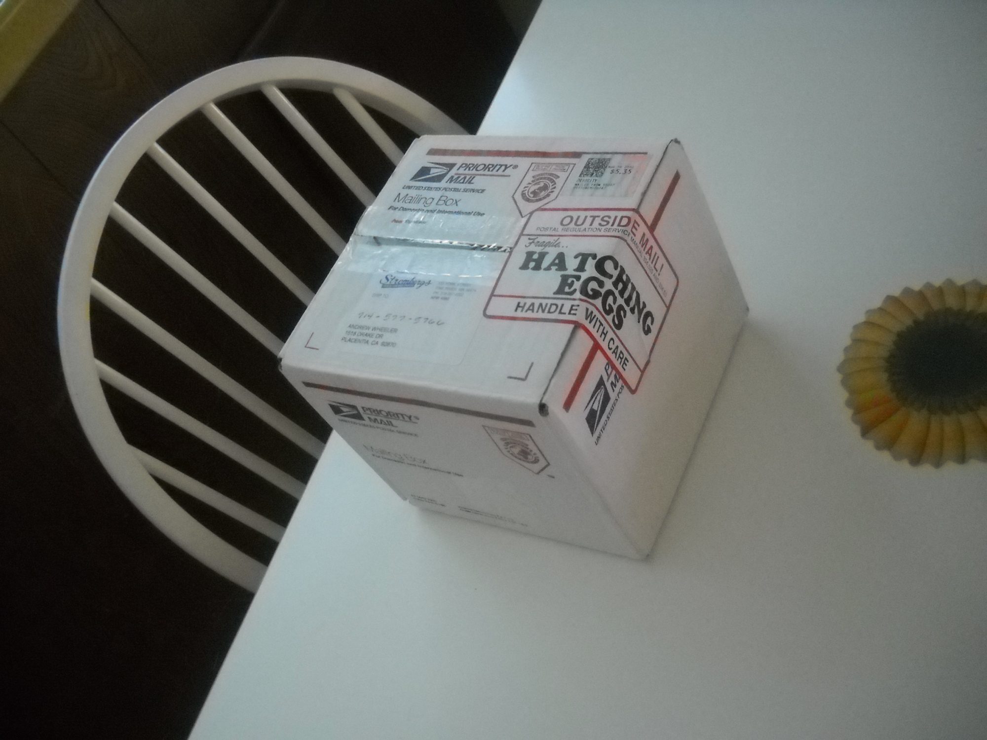 900x900px-LL-282e13e5_AlisonsCamera-All363.jpeg