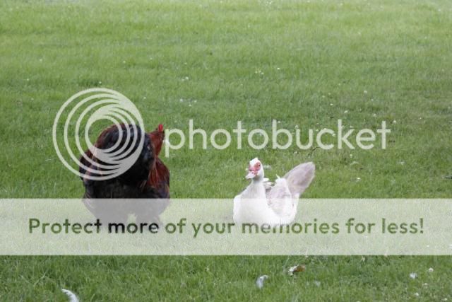 _MG_3365.jpg