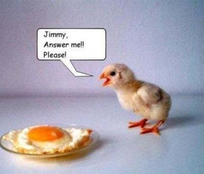 funny_chicken.jpg