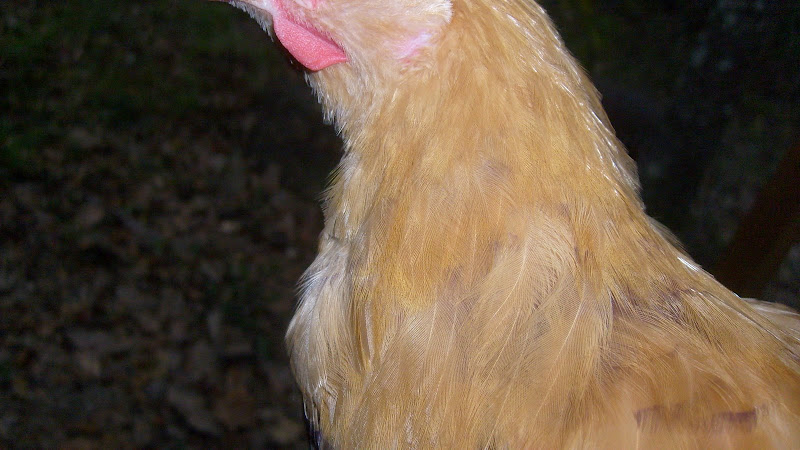 S6304452.JPG