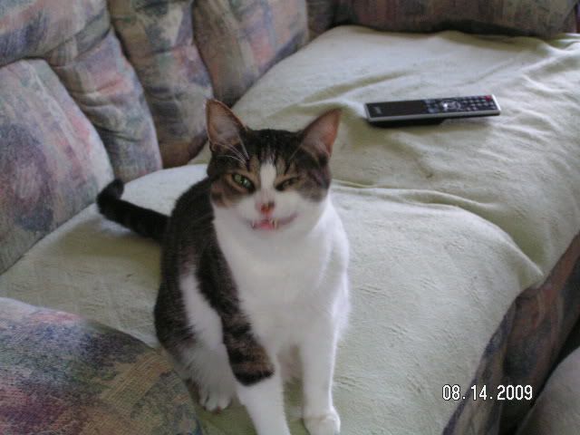 PICT2579.jpg
