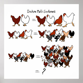 chicken_math_poster-r9fe8b0fba3ac4f53b4620b865cd03370_w2q_8byvr_324.jpg
