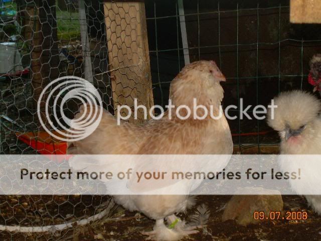 9708015.jpg