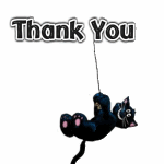 thank-you-black-cat-ag1.gif