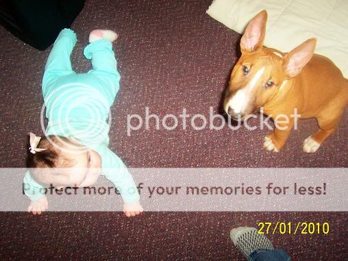 Picture020.jpg