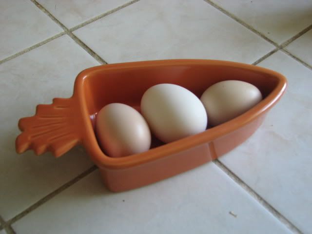 firsteggs010.jpg