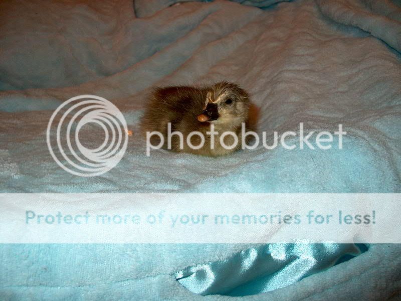 IM002257.jpg