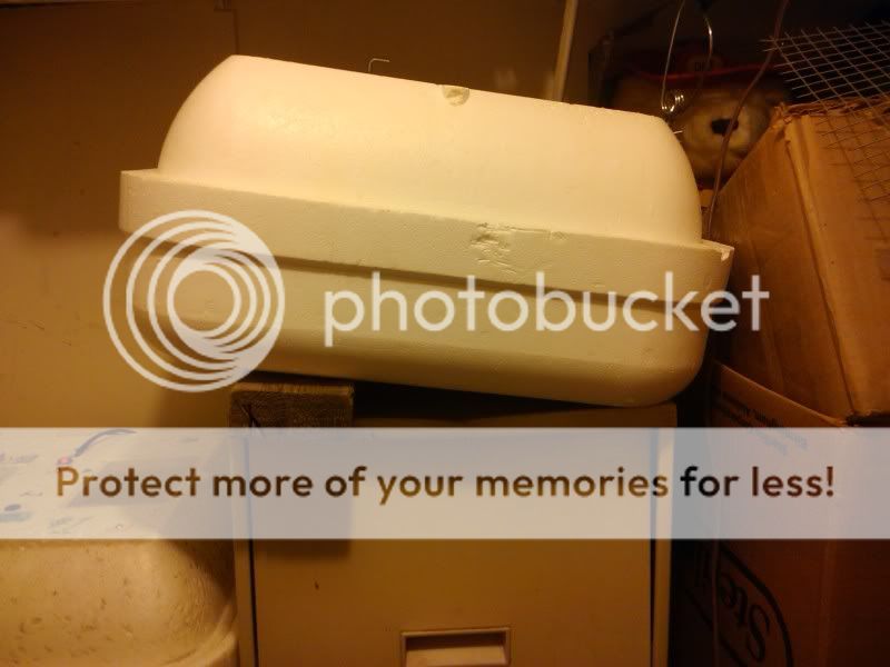 2011-03-31122748.jpg