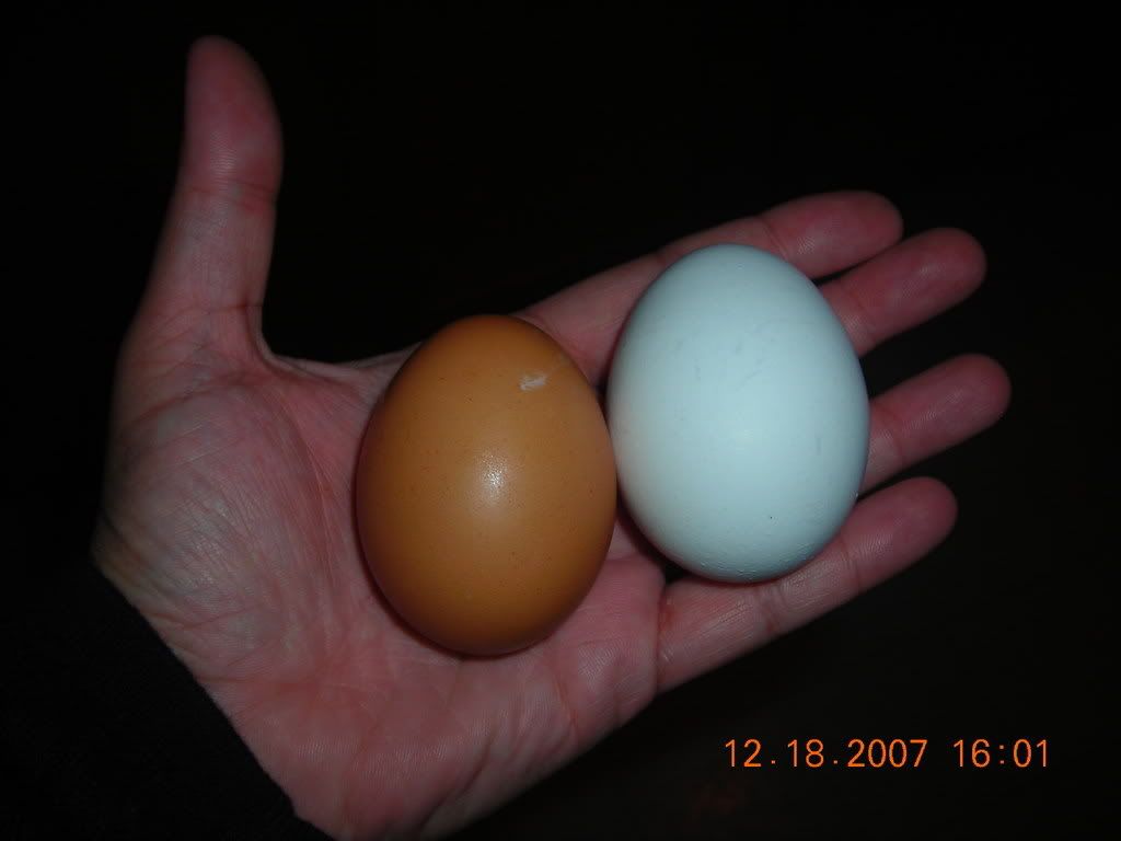 DSCN1657.jpg