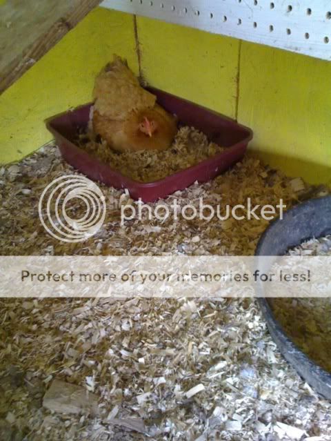 photo3-12.jpg