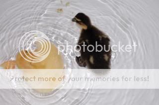 20110316_6.jpg