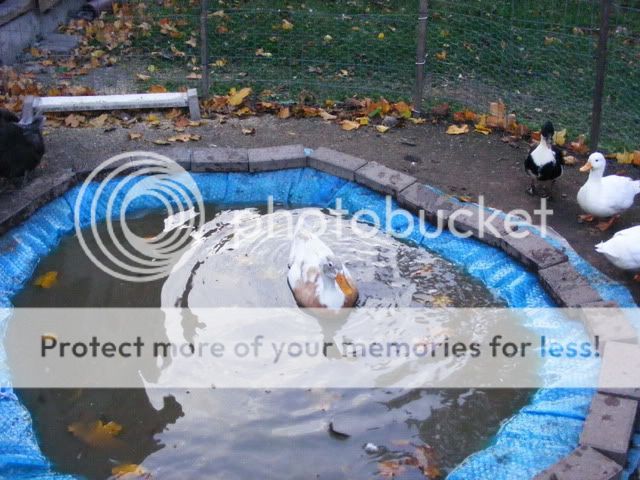 Picture056.jpg