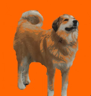 cute%2521.jpg