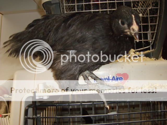 DSC02121.jpg