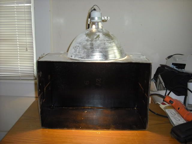 DSCF0550.jpg