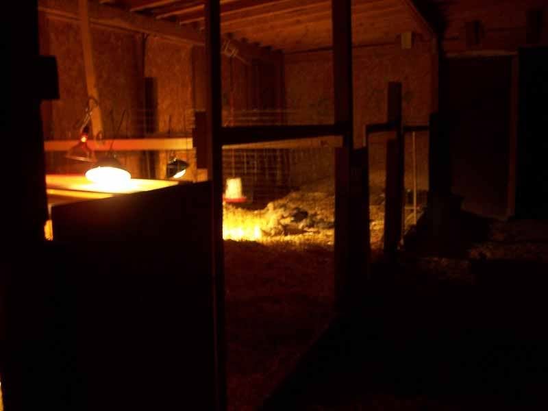 barn1.jpg