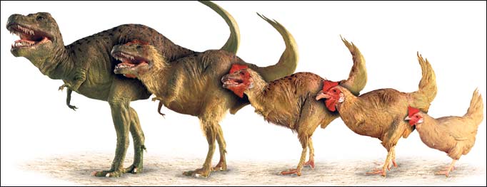 chickdino.jpg