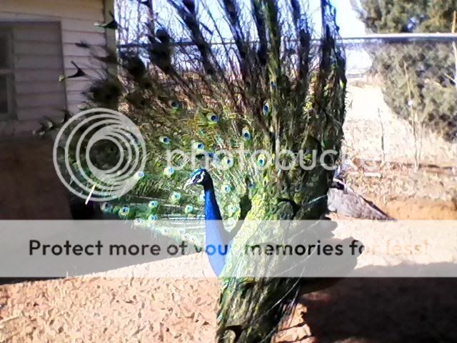 012409_143100.jpg