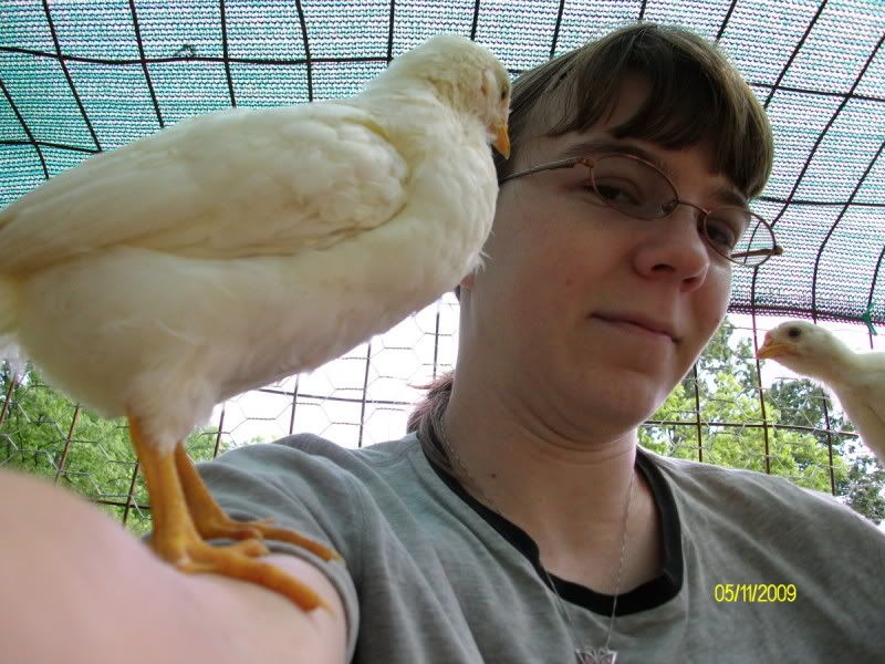 chicksday30014.jpg