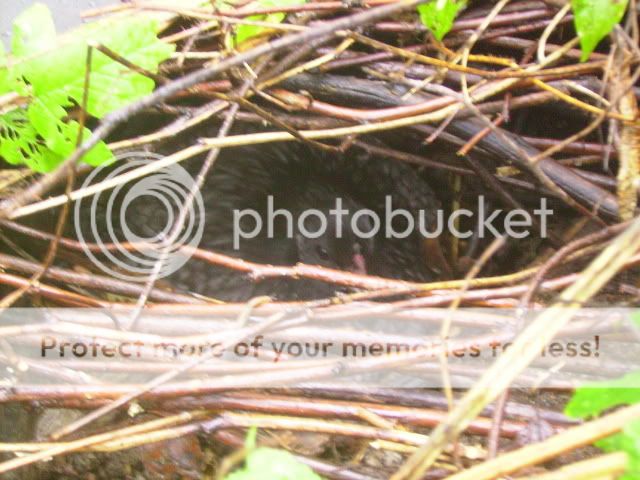 IMGP0843-1.jpg