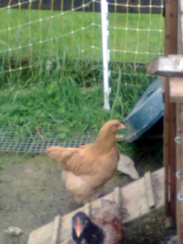 Image016.jpg