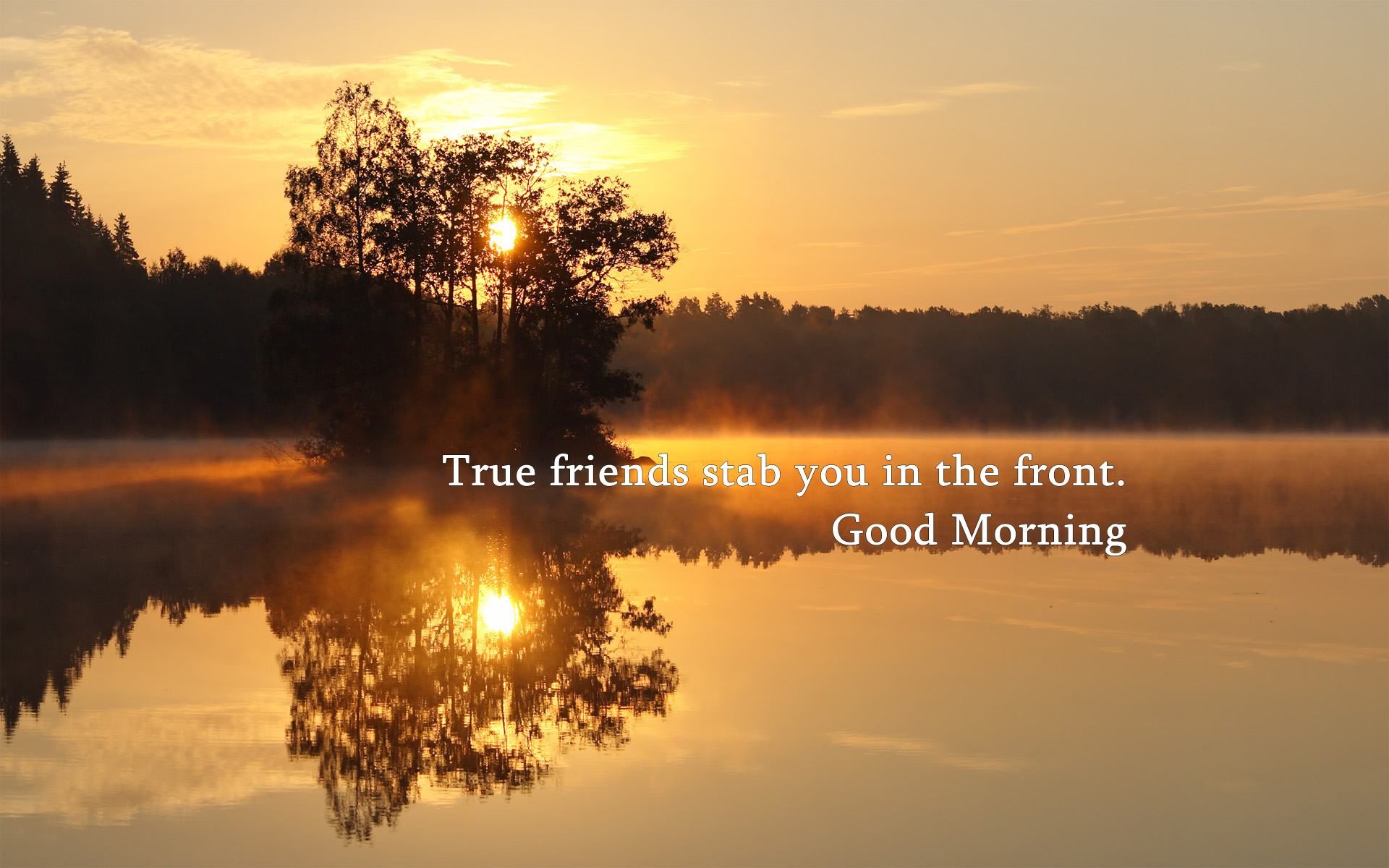 e0427563b0472dfac1ffe34e0cb27546.jpg