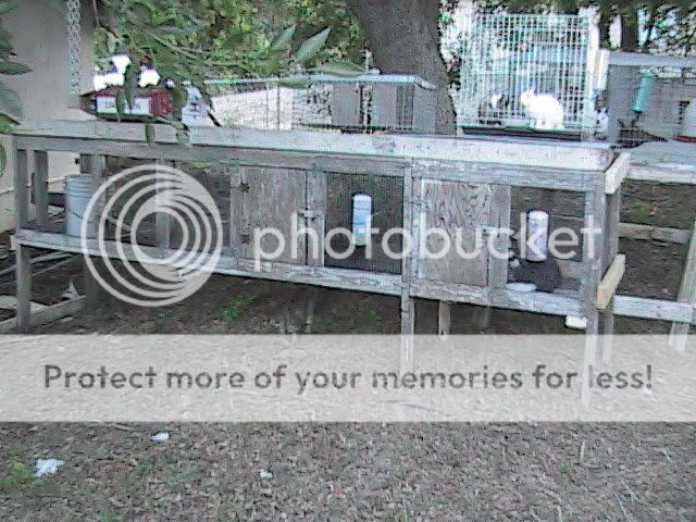 hutch1.jpg