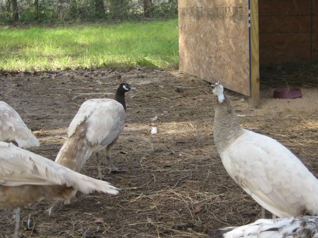 IMG_1957.jpg
