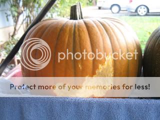 IMG_3945.jpg