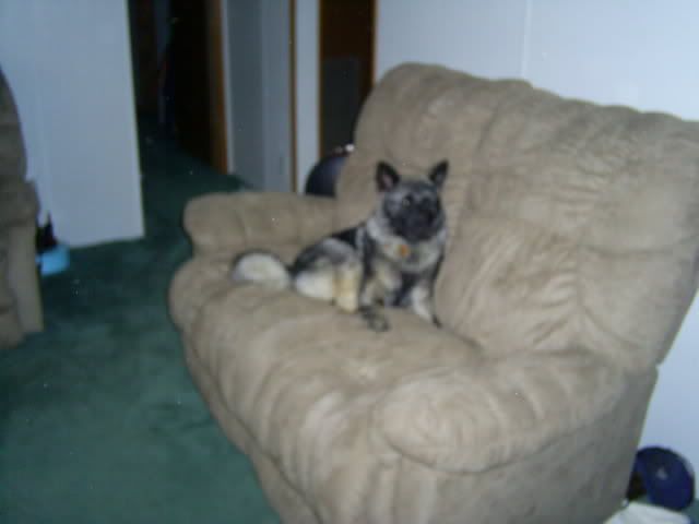 MixedPics011.jpg