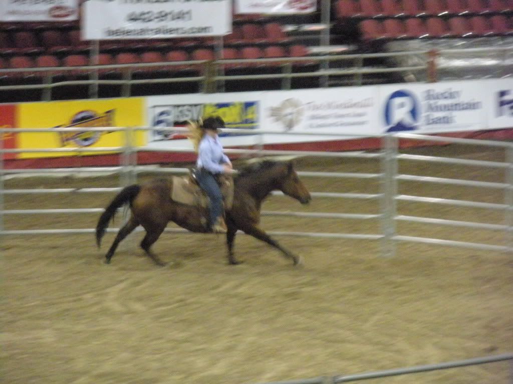 DSCN1087.jpg
