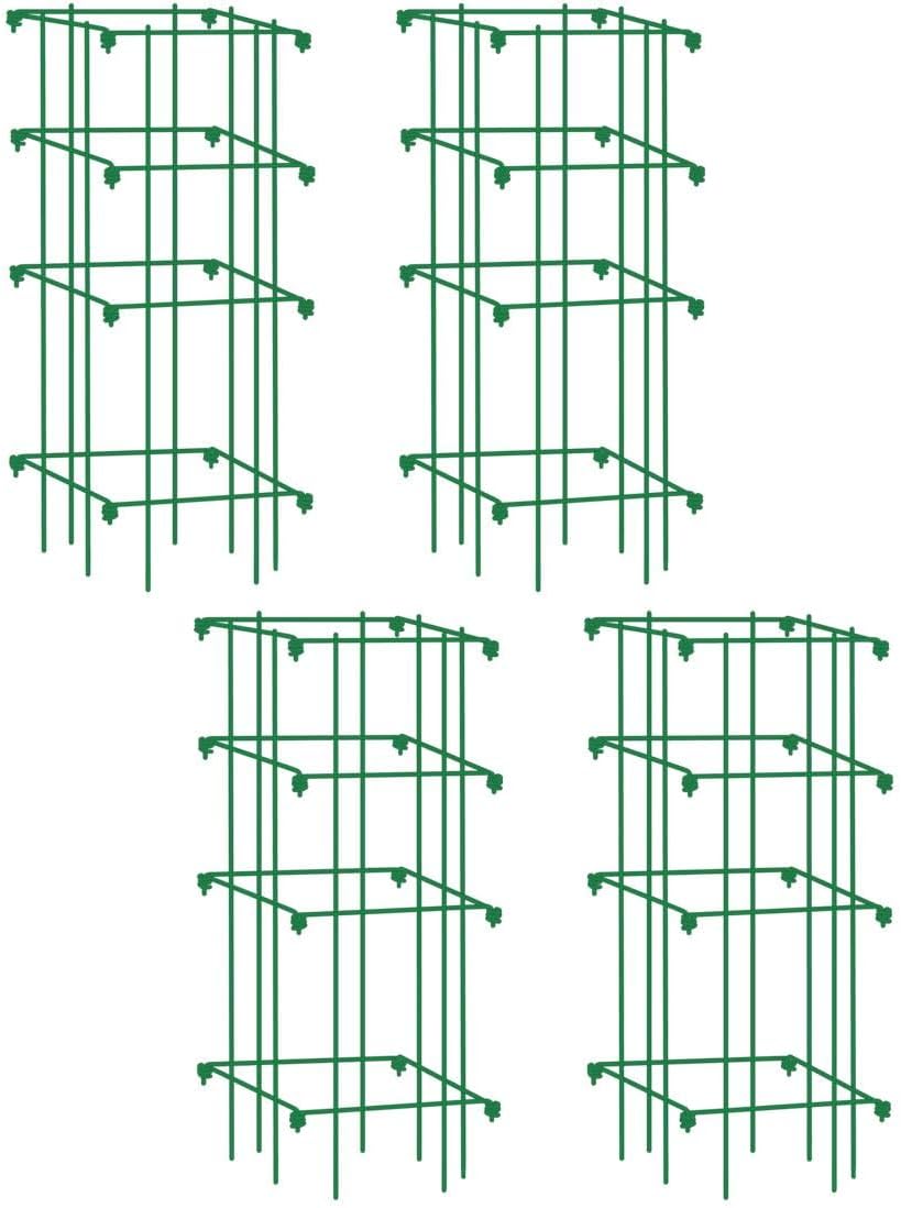61bAIJVvsBL._AC_SL1120_.jpg