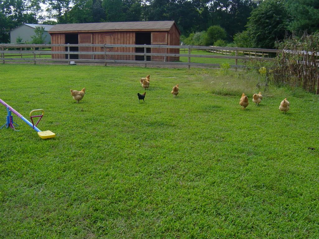 27thofAugust2007015.jpg