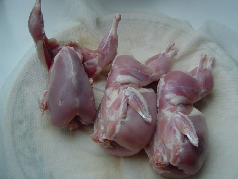 ButcheredQuail002.jpg