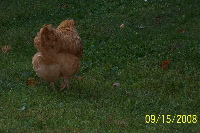 100_5697.jpg