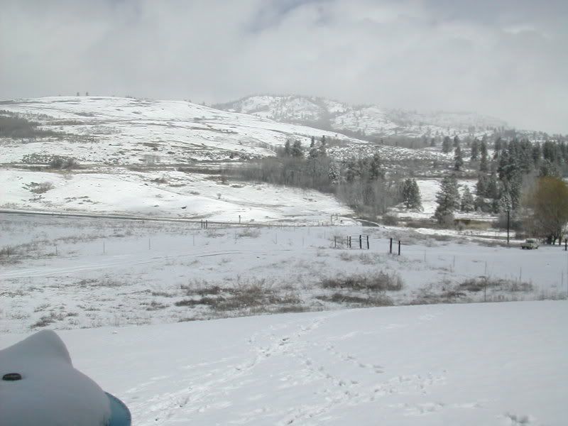 DSCN2472.jpg