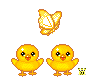 598164i8myjs838y.gif