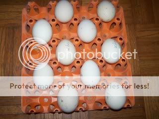 eggspackage.jpg
