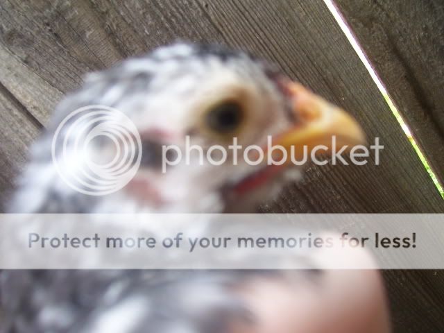 100_2909.jpg