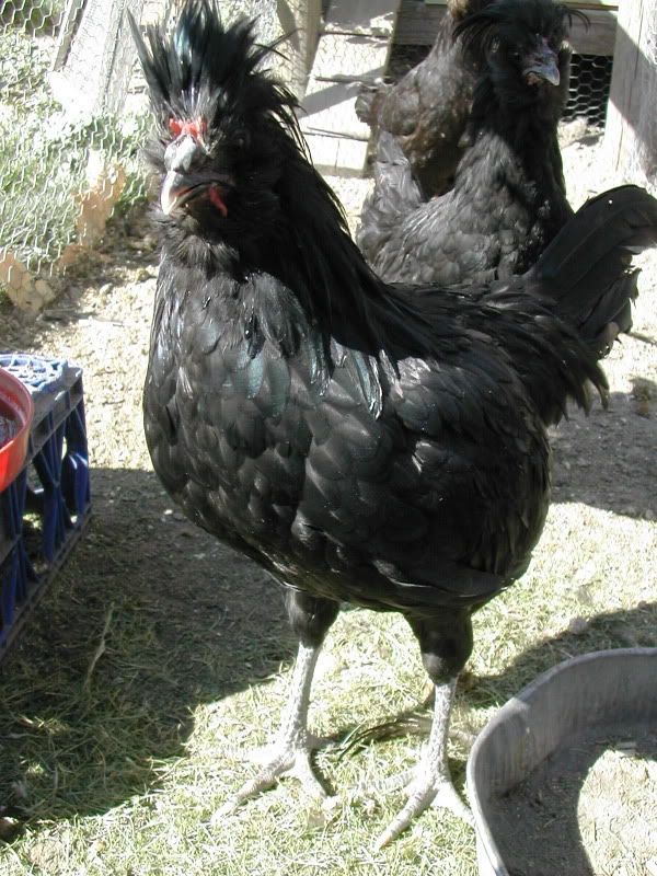 DSCN3639.jpg