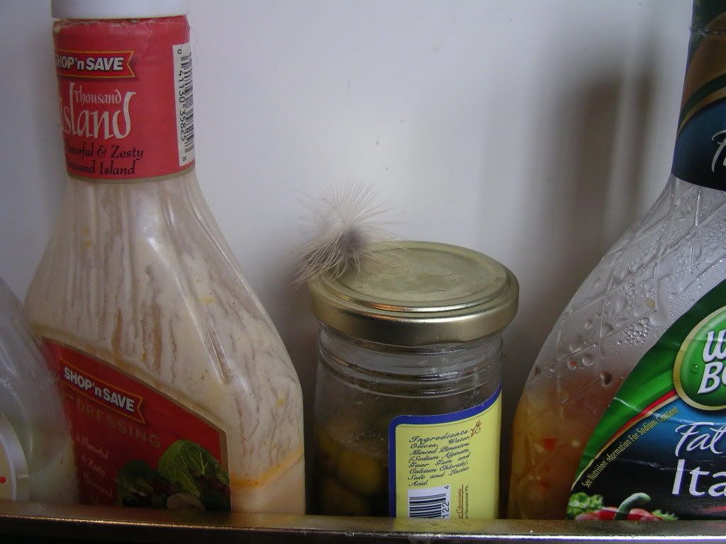 Picture004-1.jpg