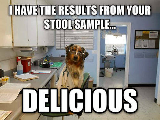 funny-picture-scientist-dog-stool-sample-lab.jpg