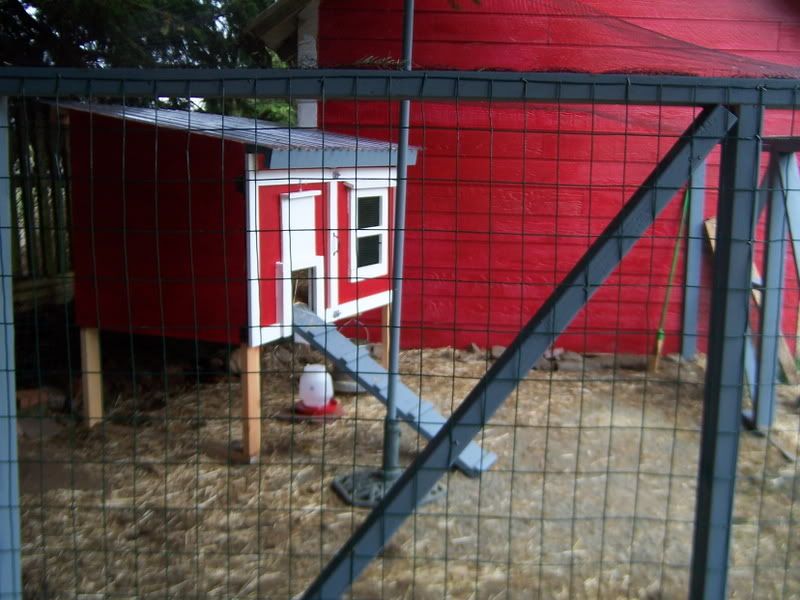 Picture006.jpg