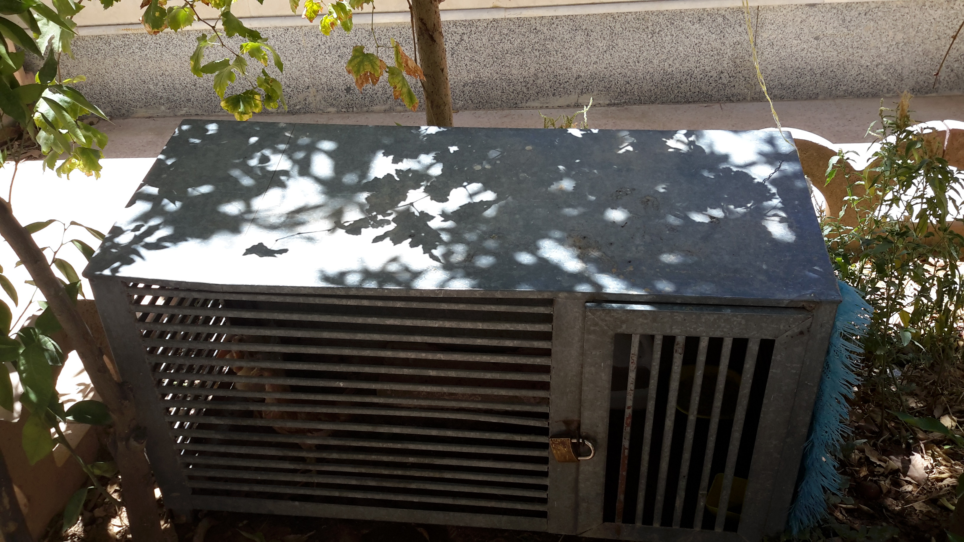 20180730_125312_05.jpg