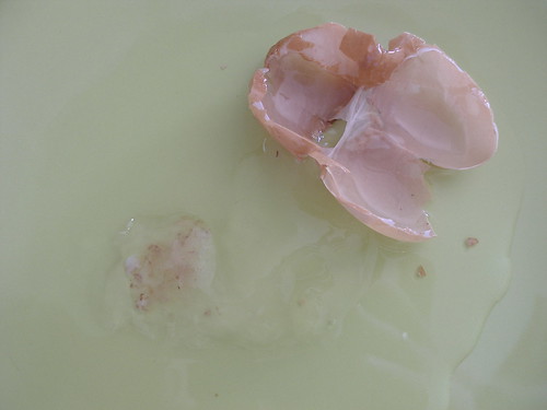 3367773493_2fa6823c80.jpg