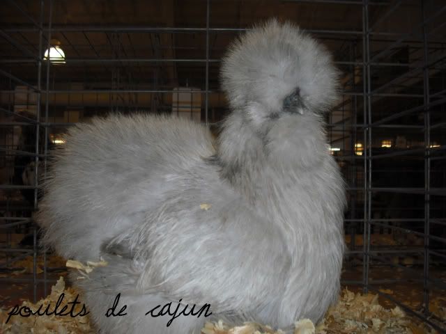 DSCF0025.jpg