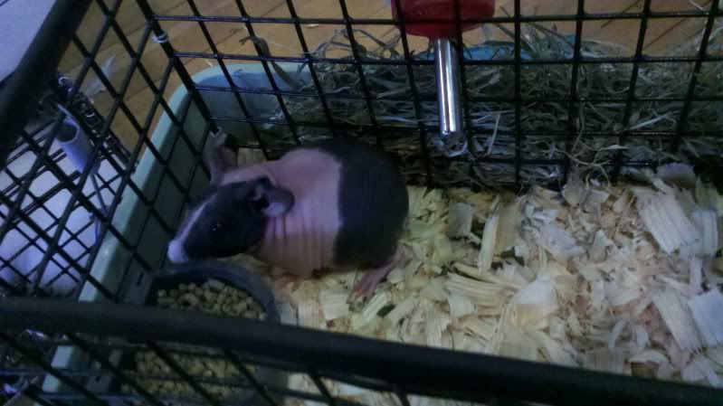2011-10-01_14-21-14_890.jpg