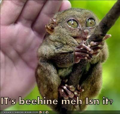 funny-pictures-behind-me.jpg