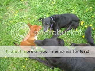 IMG_0581.jpg