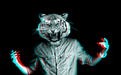 tumblr_lylhheLBNX1r4es9bo1_500.gif